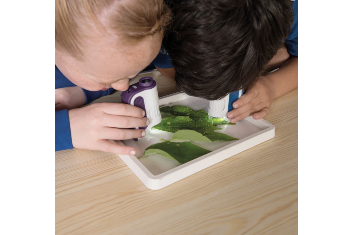 Microscopen voor in de hand, 6 stuks
