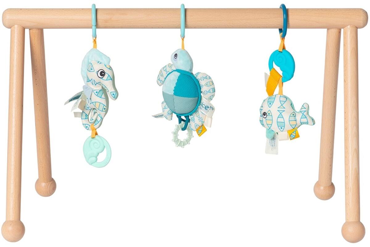 Babygym Ocean