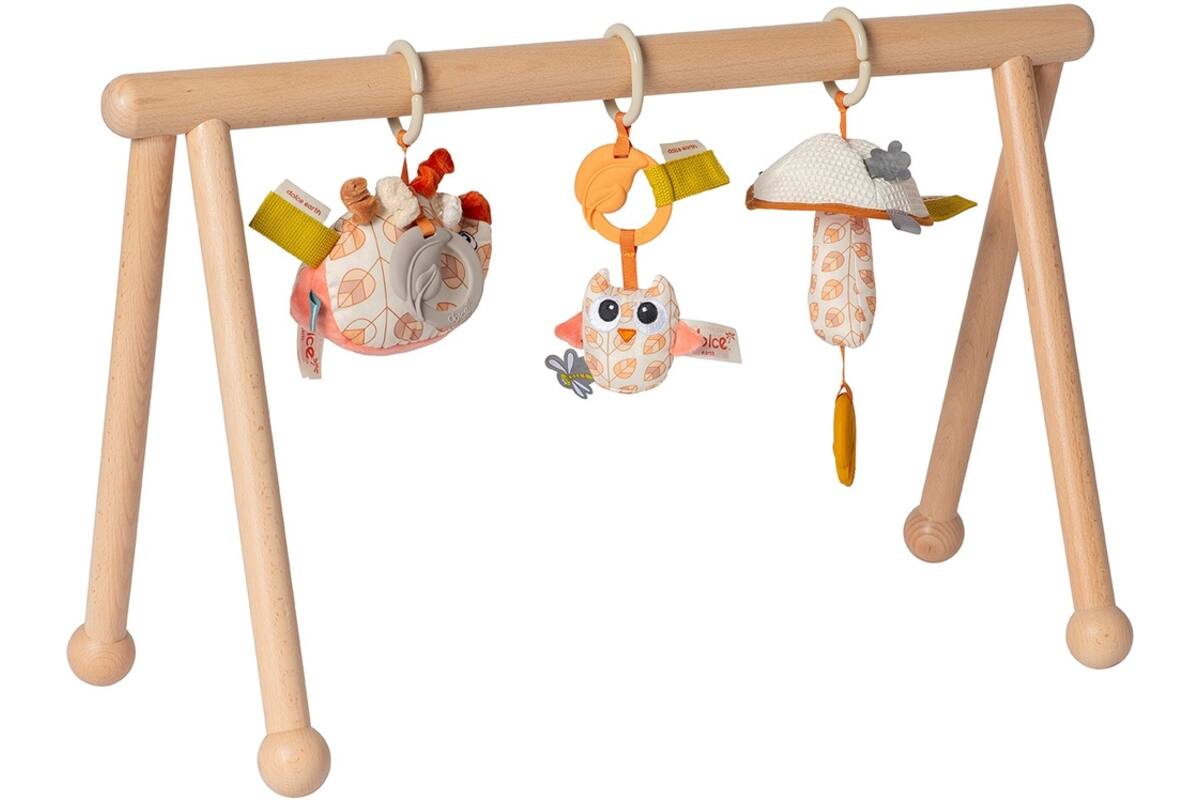 Babygym Earth
