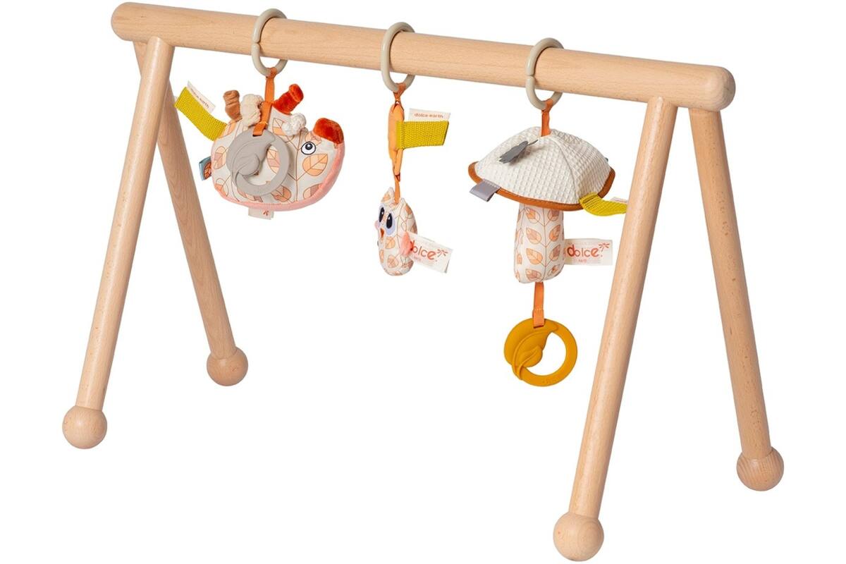 Babygym Earth