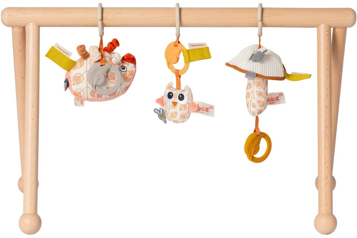 Babygym Earth