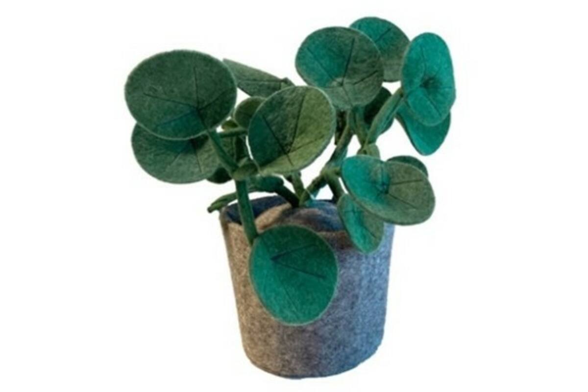 Plant van vilt, Pileo Pepero