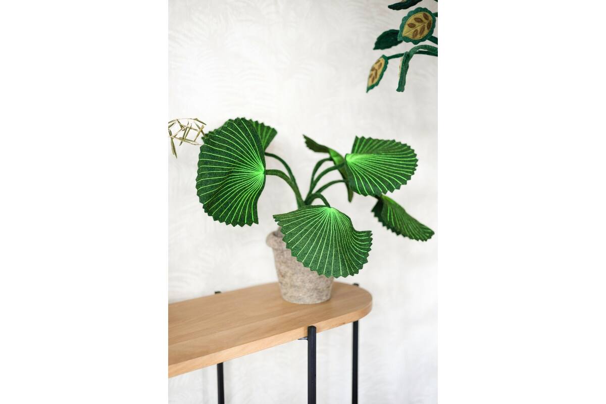 Plant van vilt, Pebbe