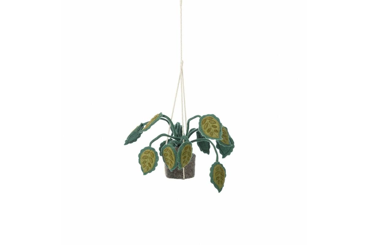 Plant van vilt, Big leaves