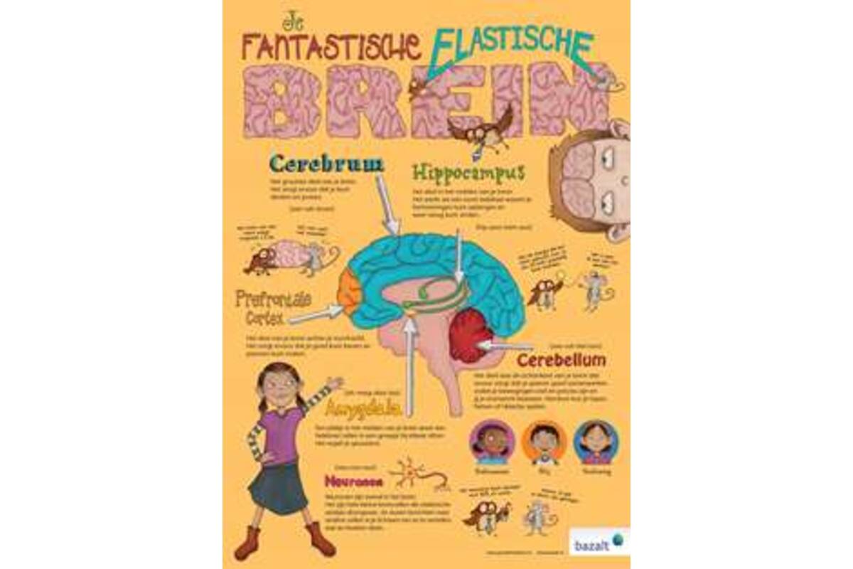Poster Je Fantastische Elastische Brein