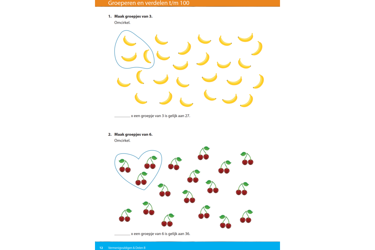Kerndoeltrainer Vermenigvuldigen & Delen B (5 stuks)