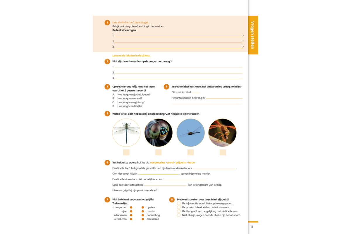 Kerndoeltrainer Begrijpend Lezen E (5 stuks)