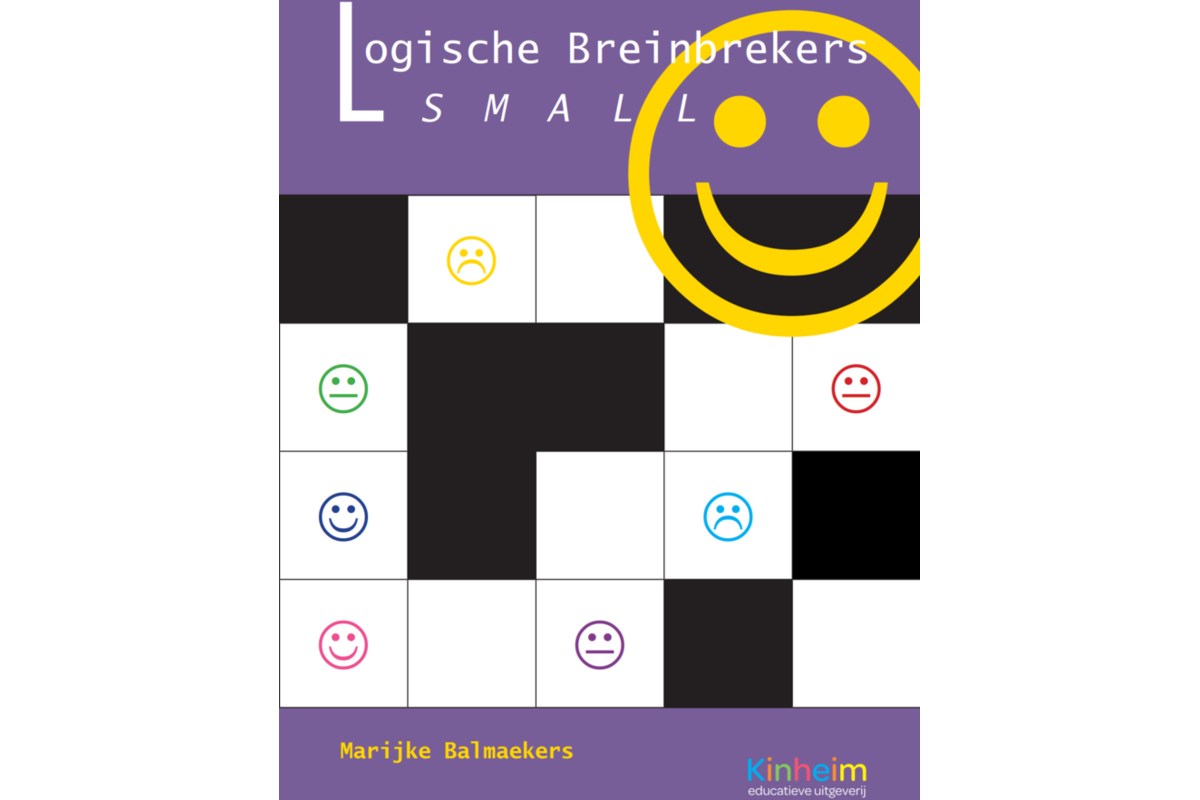 Logische breinbrekers small (5 stuks)