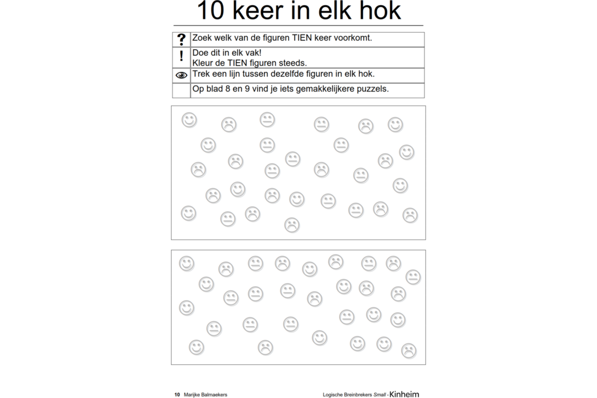 Logische breinbrekers small (5 stuks)