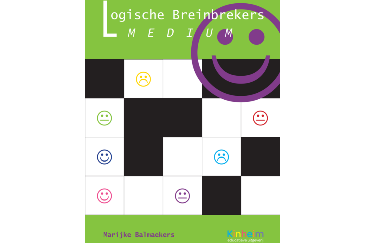 Logische breinbrekers medium (5 stuks)