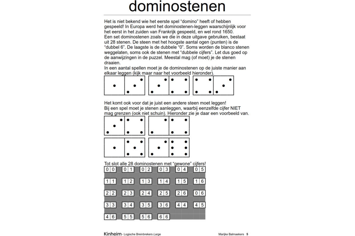 Logische breinbrekers large (5 stuks)