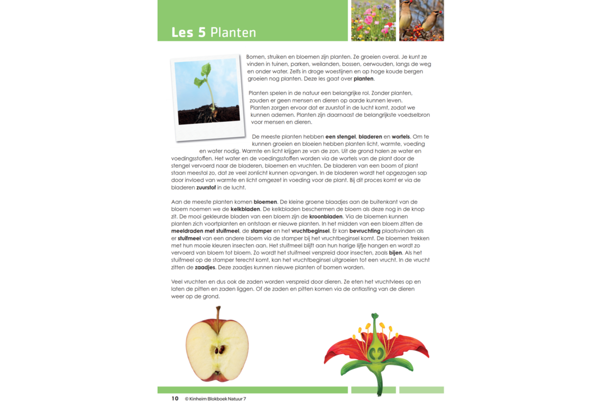 Blokboek natuur groep 7 (5 stuks)