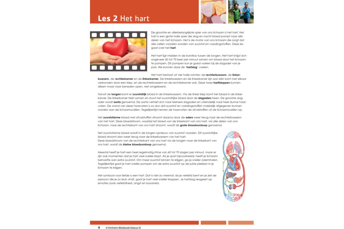 Blokboek natuur groep 8 (5 stuks)