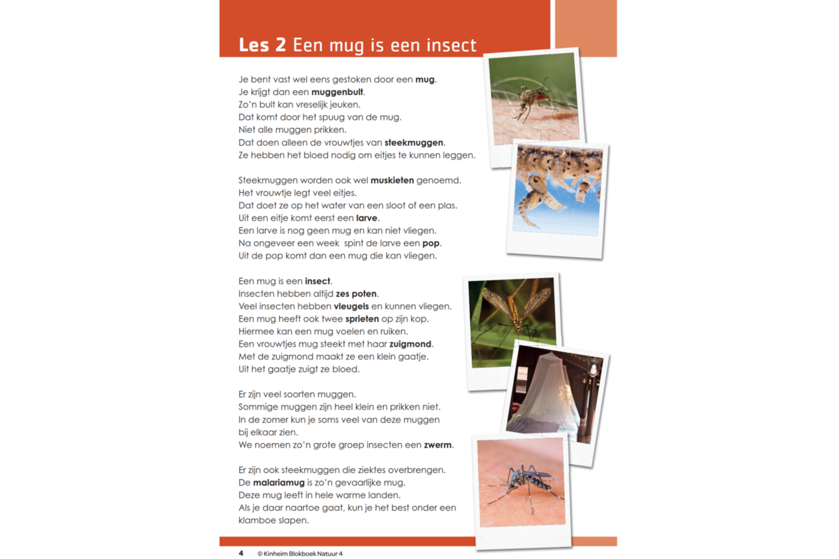 Blokboek natuur groep 4