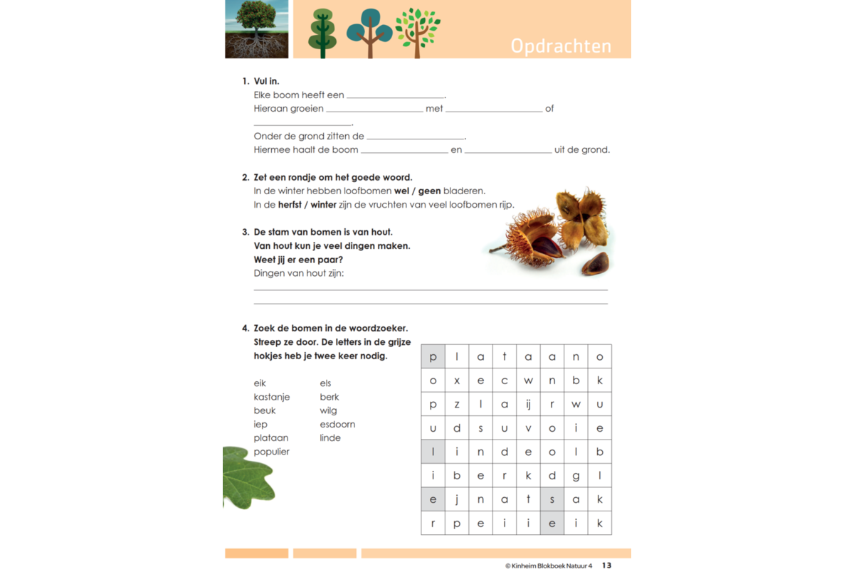 Blokboek natuur groep 4