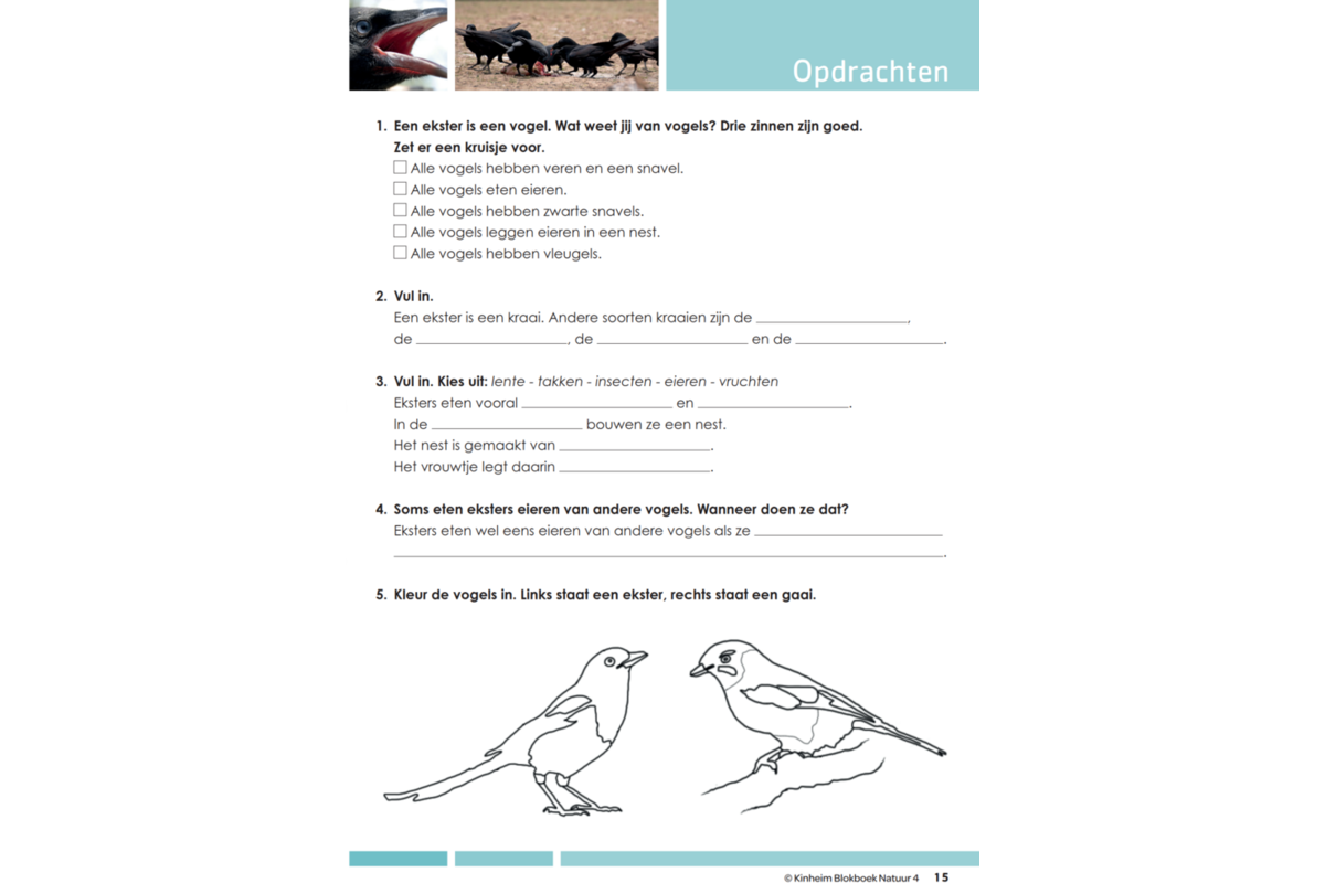 Blokboek natuur groep 4
