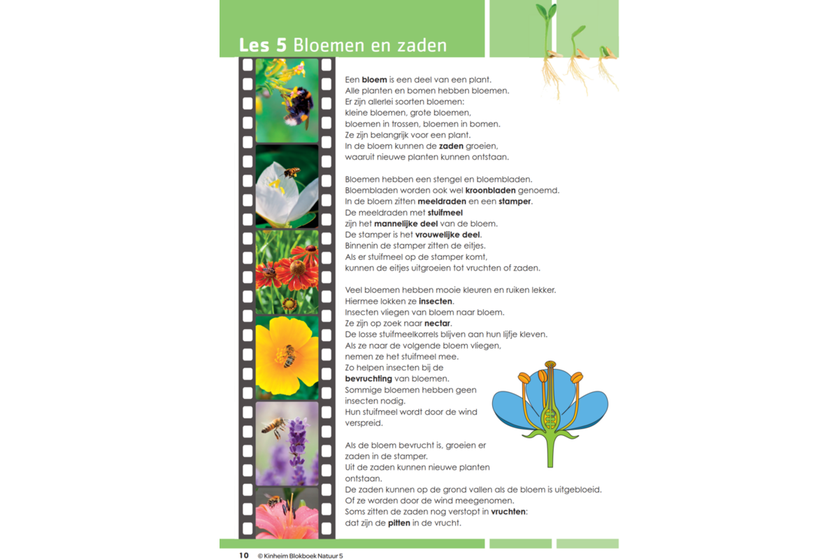 Blokboek natuur groep 5 (5 stuks)