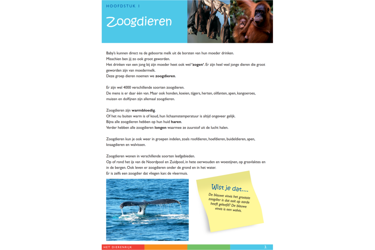 Dierenrijk werkgids