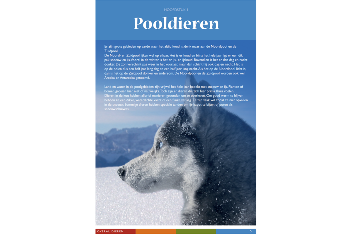 Overal dieren werkgids (5 stuks)