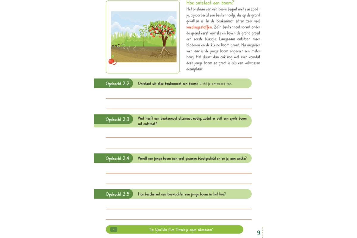 Max en de sprekende boom groep 3-5 werkboek (5 stuks)