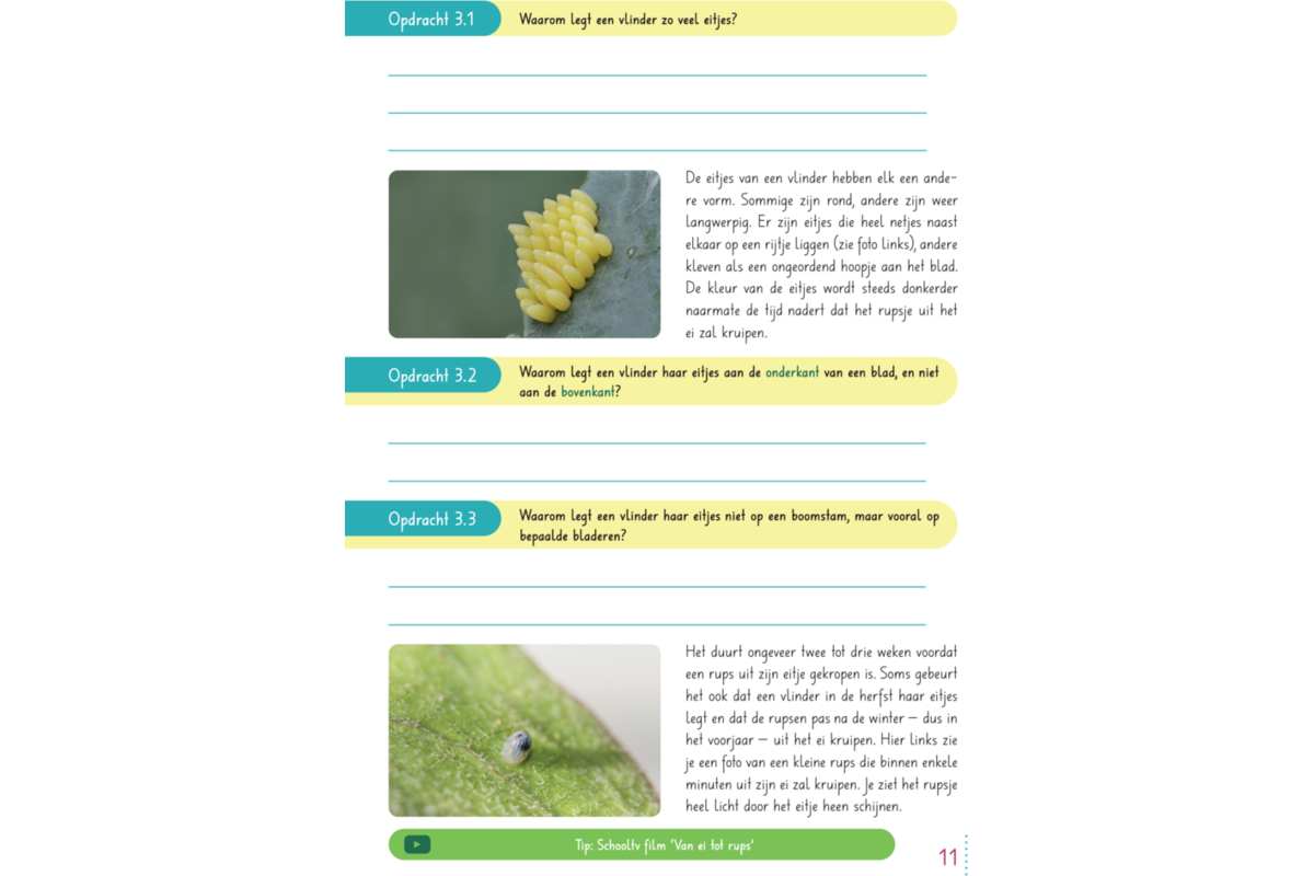 Max en de ongelofelijke reis van de vlinder groep 3-5 werkboek (5 stuks)