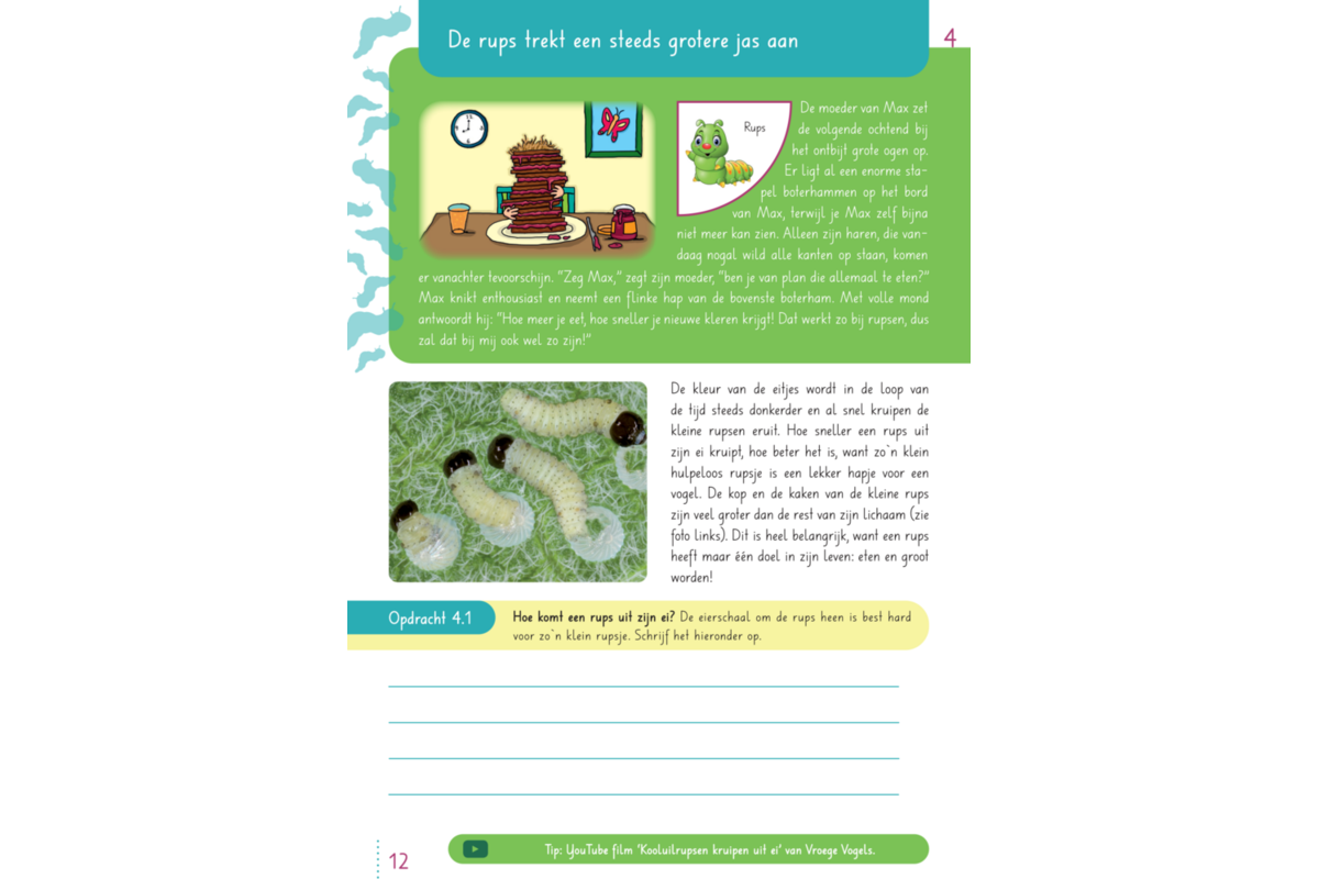 Max en de ongelofelijke reis van de vlinder groep 3-5 werkboek (5 stuks)