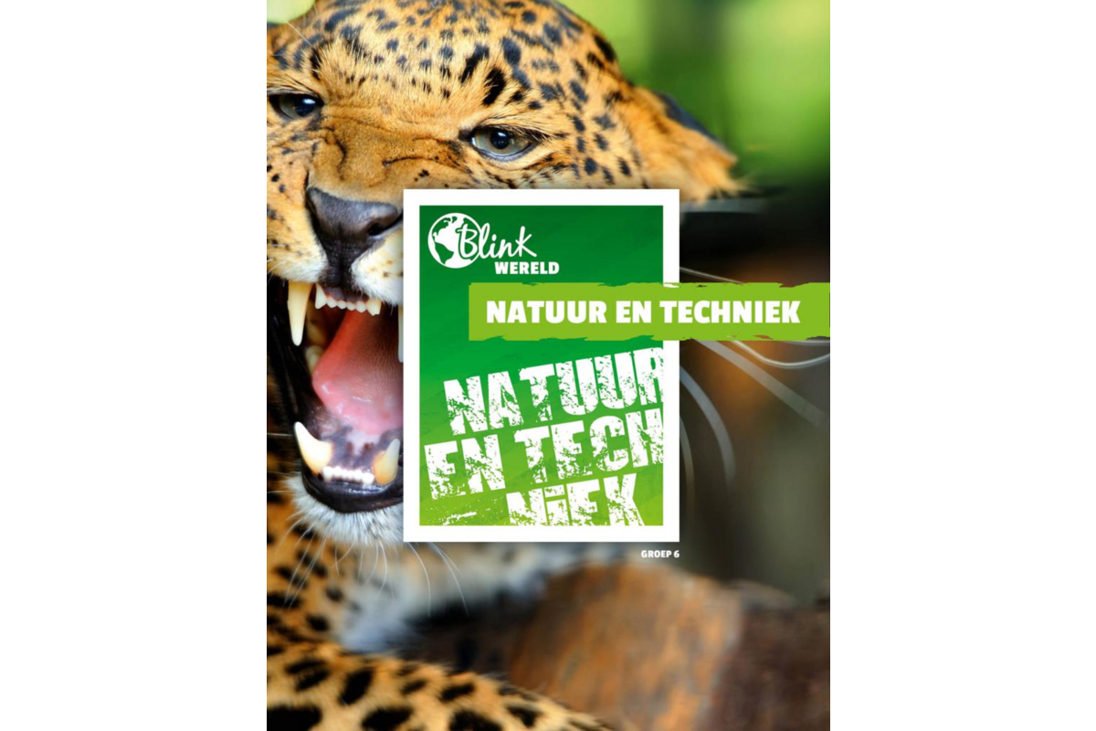 Blink Wereld Natuur/Techniek Bronnenboek groep 6
