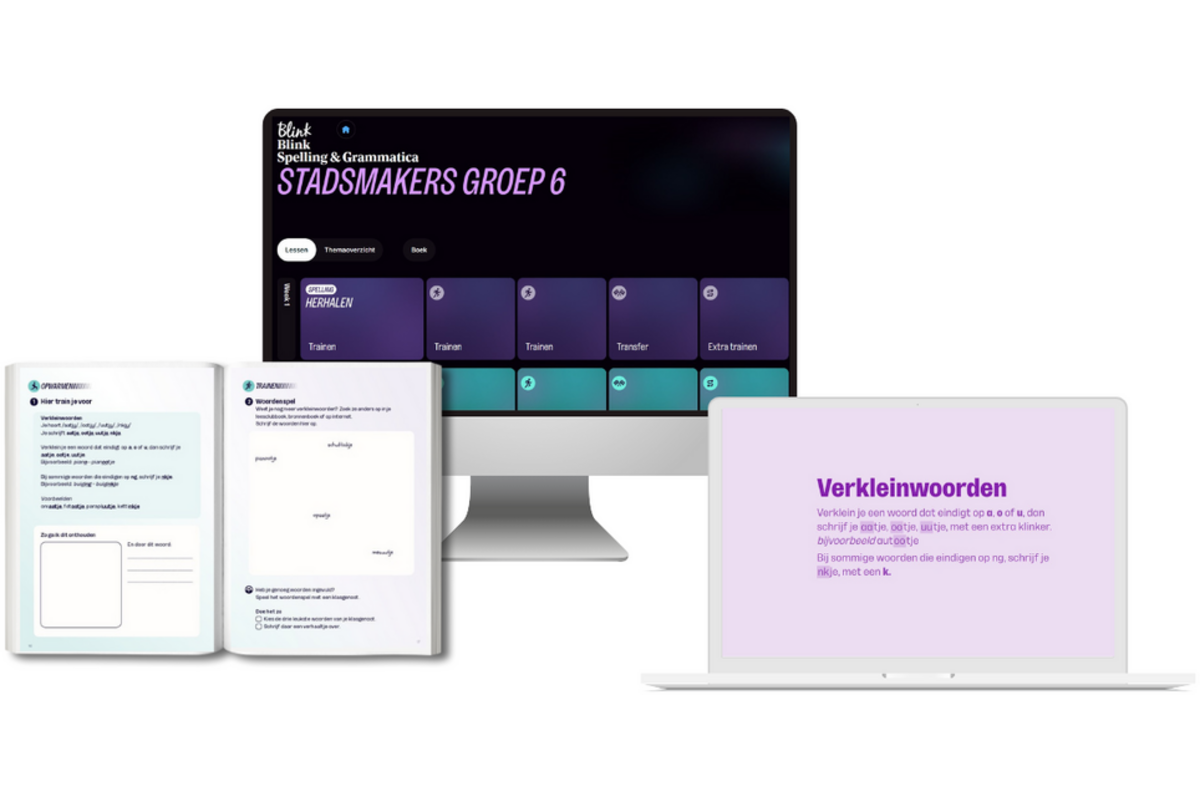 Blink Spelling & Grammatica Leerpakket LEERLING groep 6