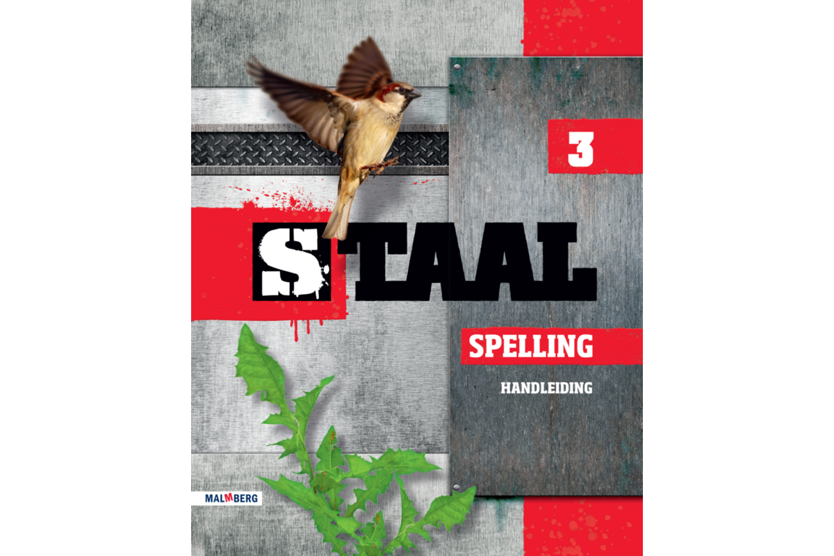 Staal spelling groep 3 handleiding