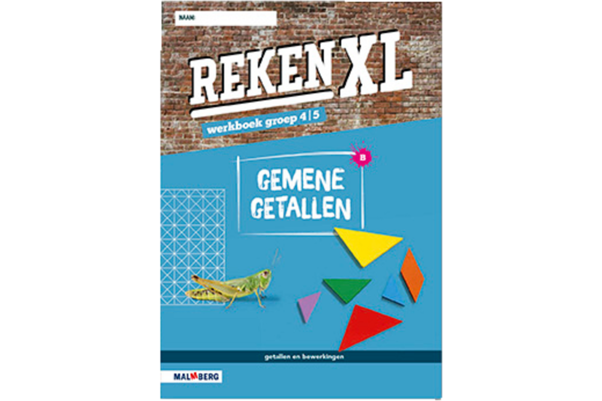 RekenXL leerwerkboek Gemene getallen/Balans groep 4/5 B (5 stuks)