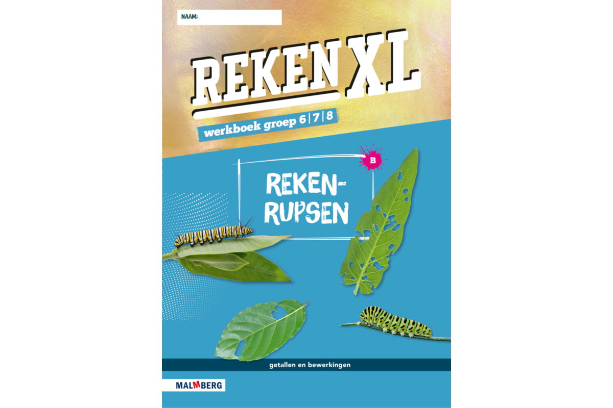 RekenXL leerwerkboek Rekenrupsen/Gespiegeld groep 6/7/8 B (5 stuks)