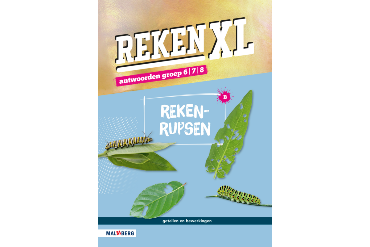 RekenXL antwoordenboek Rekenrupsen/Gespiegeld groep 6/7/8 B
