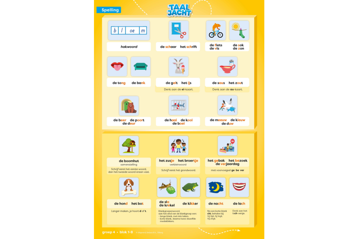 Taaljacht Spelling & grammatica groep 4 categoriekaarten (5 stuks)
