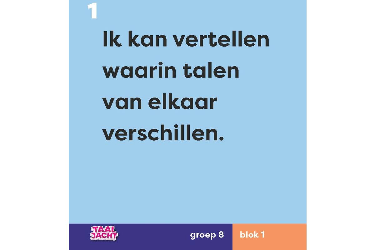 Taaljacht Taal groep 8 doelmagneten