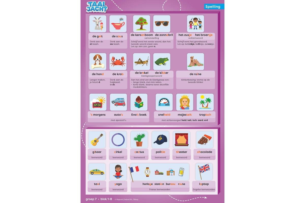 Taaljacht Spelling & grammatica groep 7 categoriekaarten & stappenplan (5 stuks)