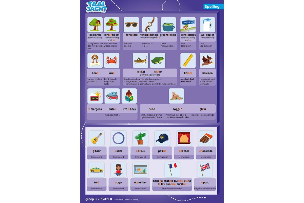 Taaljacht Spelling & grammatica groep 8 categoriekaarten & stappenplan (5 stuks)