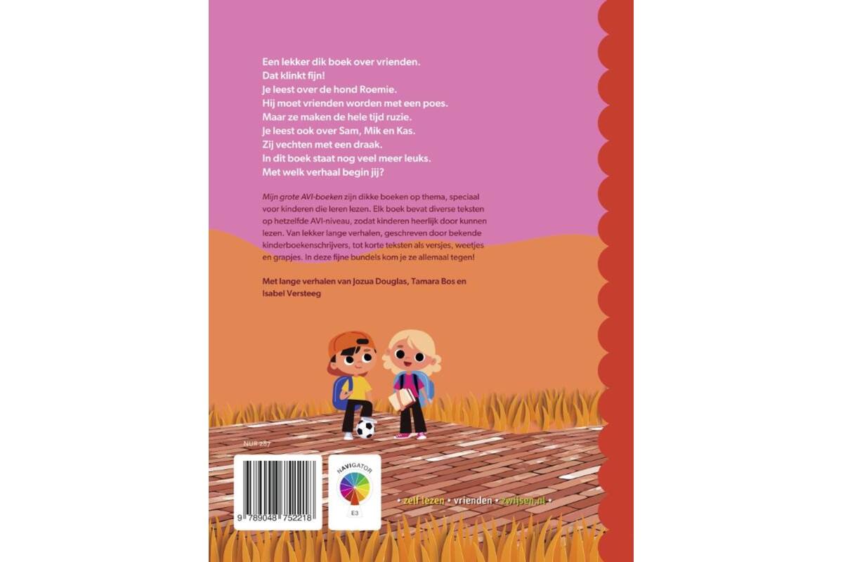 Mijn grote AVI E3 boek over vrienden