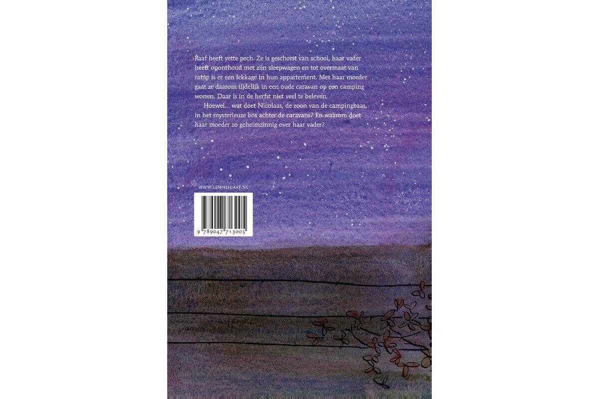 Het kleine heelal - Annejan Mieras