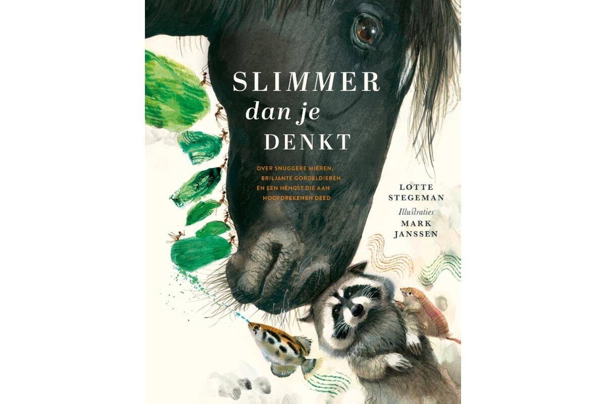 Slimmer dan je denkt - Lotte Stegeman