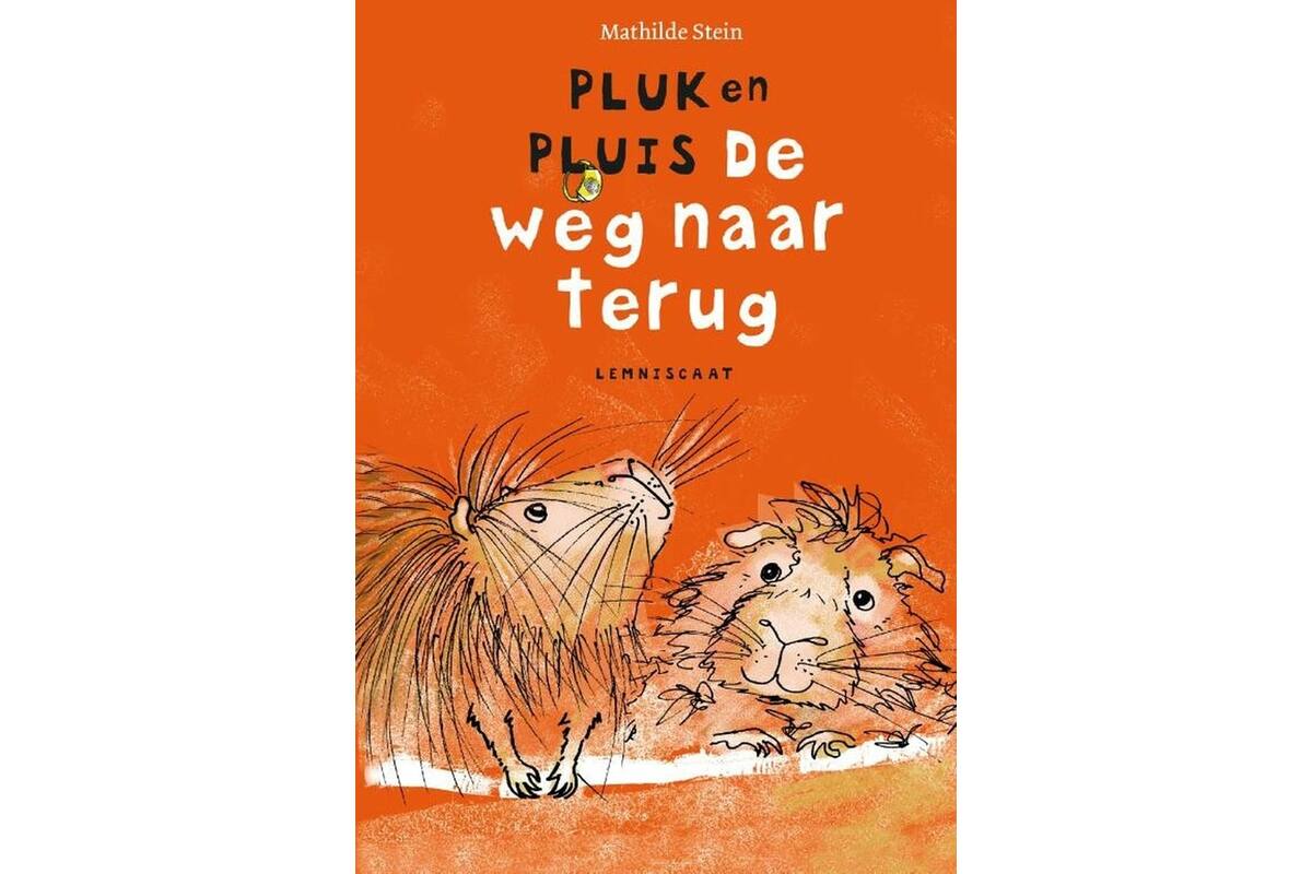 Pluk en Pluis. De weg naar terug