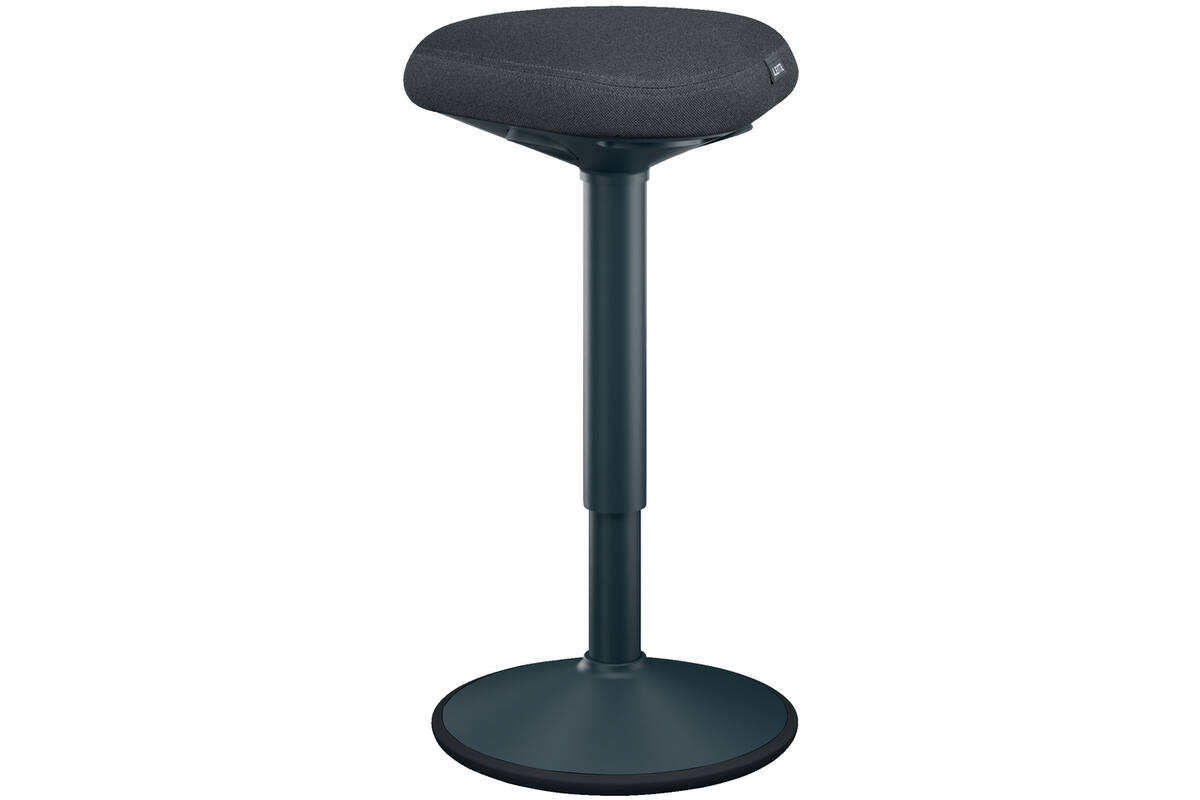 Leitz Ergo Wiebelkruk met Gasveer (57 - 82 cm) Donkergrijs