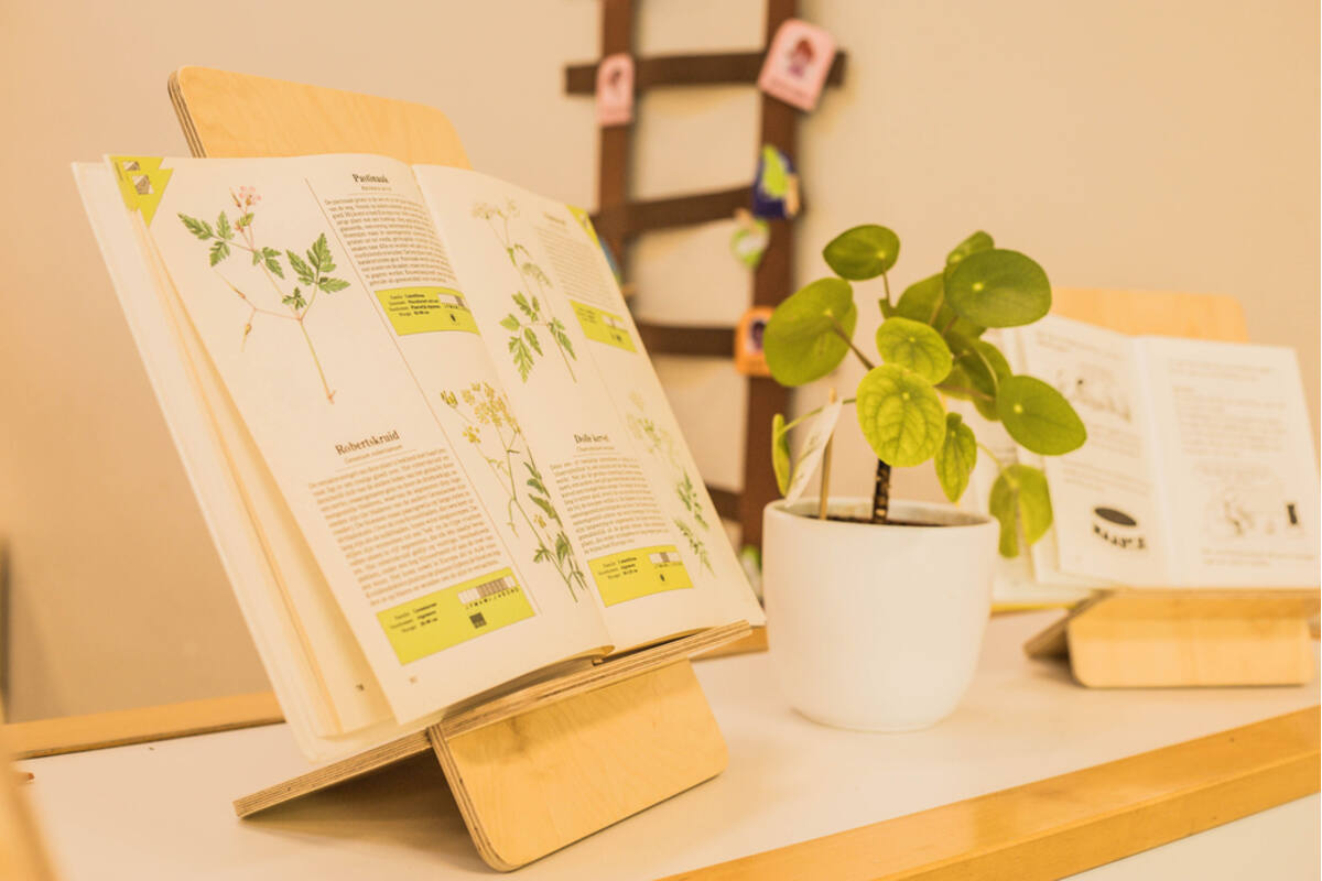 Book Buddy Large