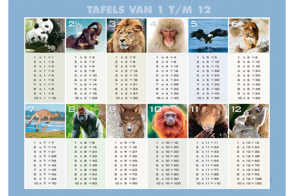 Tafelposter 1 t/m 12 A2, 3808