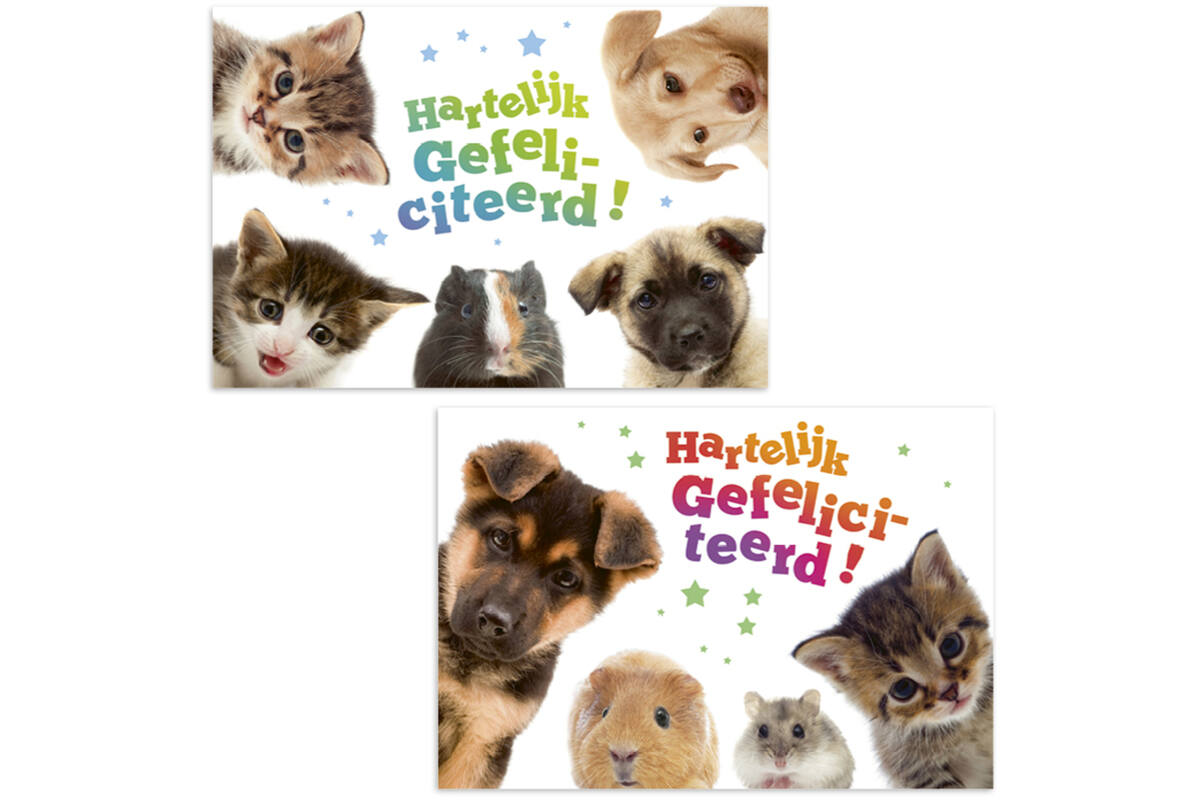 Miniposters 1049 dierenvrienden, 2 motieven, 20 stuks