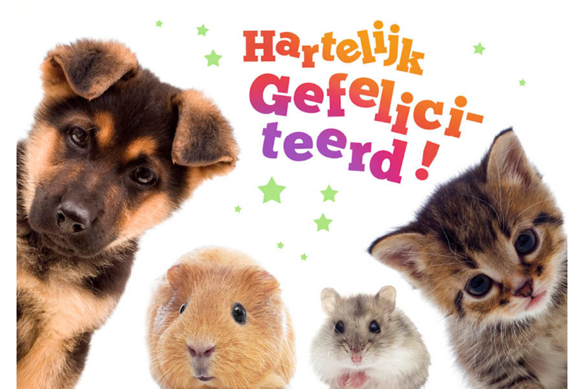 Miniposters 1049 dierenvrienden, 2 motieven, 20 stuks