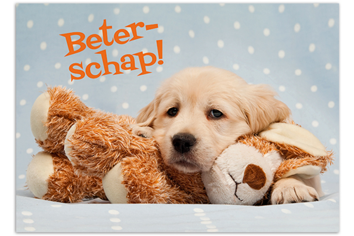 Miniposters 1054 beterschap, 2 motieven, 20 stuks