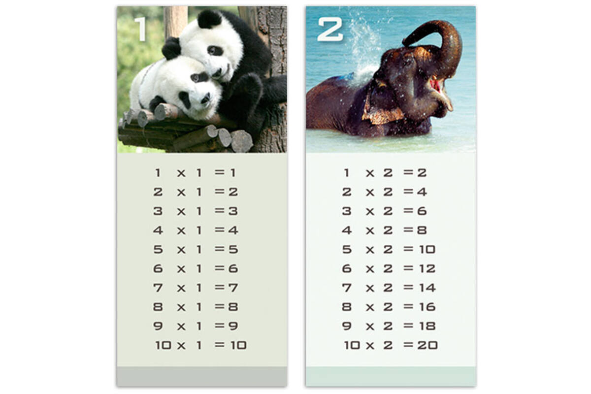 Tafelkaartjes Werelddieren 3022 12 motieven, 120 stuks