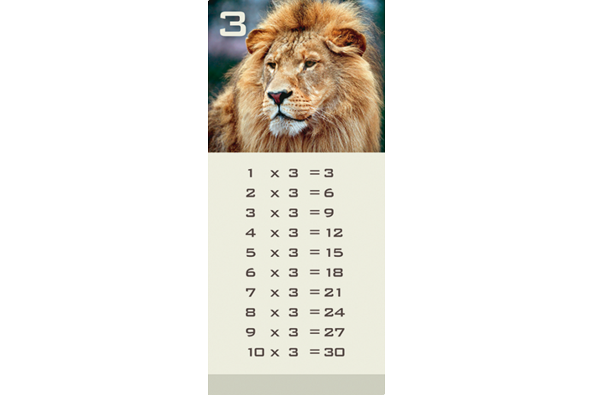 Tafelkaartjes Werelddieren 3022 12 motieven, 120 stuks