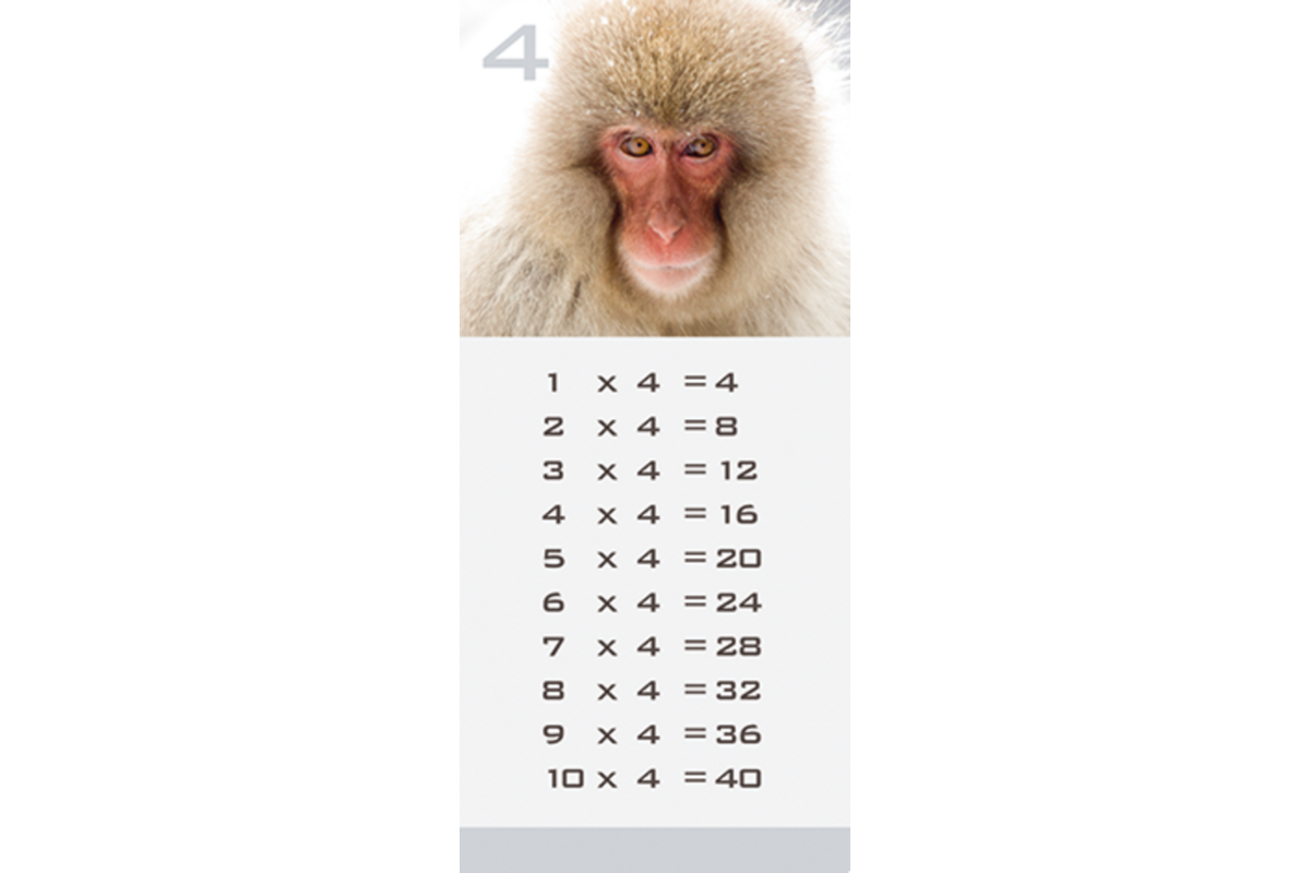 Tafelkaartjes Werelddieren 3022 12 motieven, 120 stuks