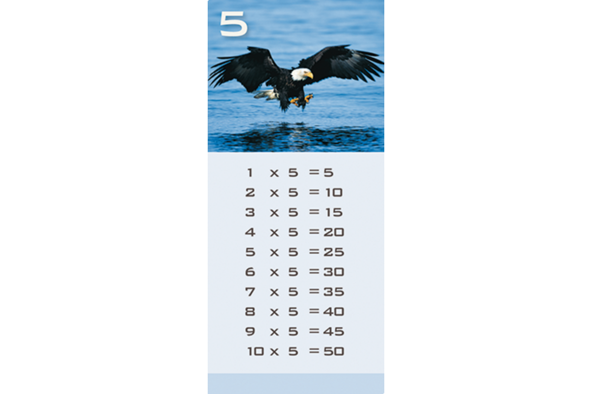 Tafelkaartjes Werelddieren 3022 12 motieven, 120 stuks